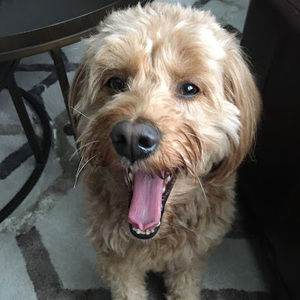 Meet your Posher, Nick